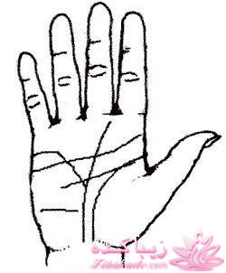 چهره خوانی وتشخیص چهره افراد